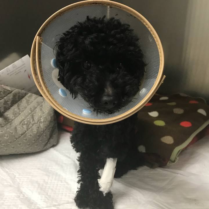 85ec8410 f6be 4198 9177 841e07e78b8f 1519213484565