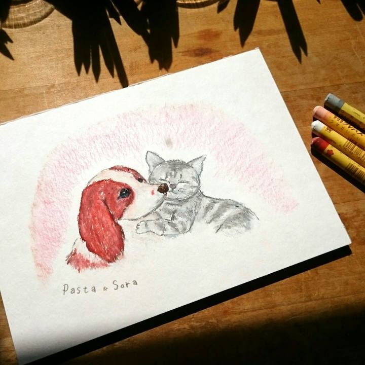 85ecba5d 5199 45ee bc90 db807185a526 1552186805995