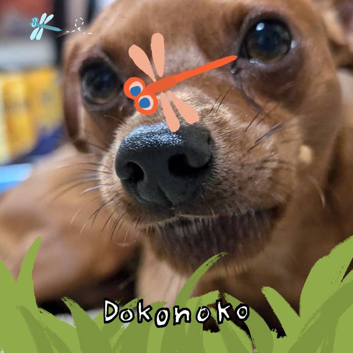 85eced58 4022 4f3d 943c 963e27fc42b8 1727099652209