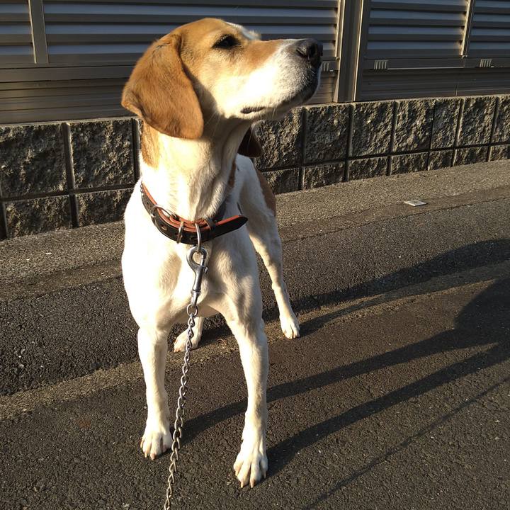 85ed0cc0 30fe 44fa aa40 4075e9e42a0e 1648126929020