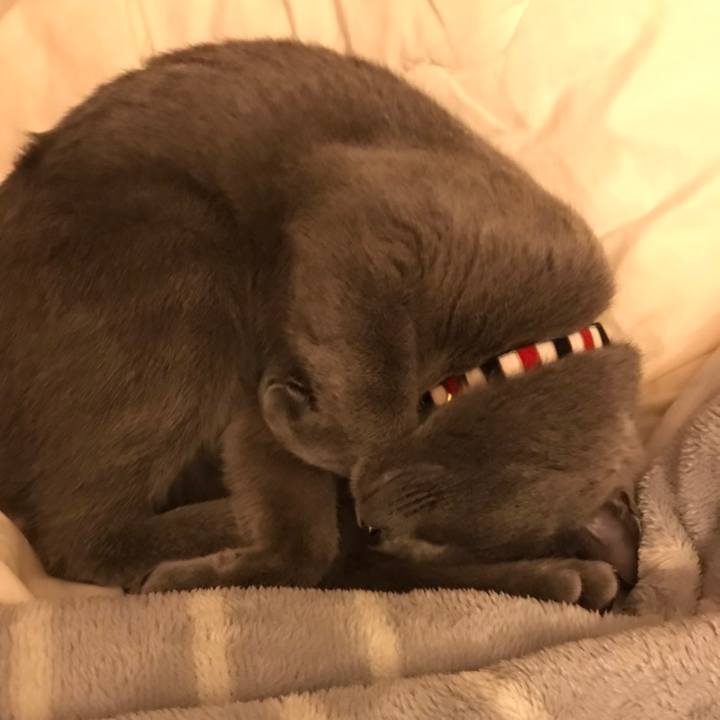 85ed1204 80ce 4f7b bf9f dc02ba9e0f84 1608972464822