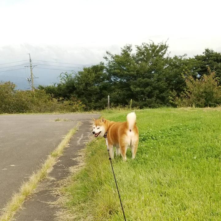 85ed2933 dce4 4f50 a356 7ef5f924add2 1631603666107