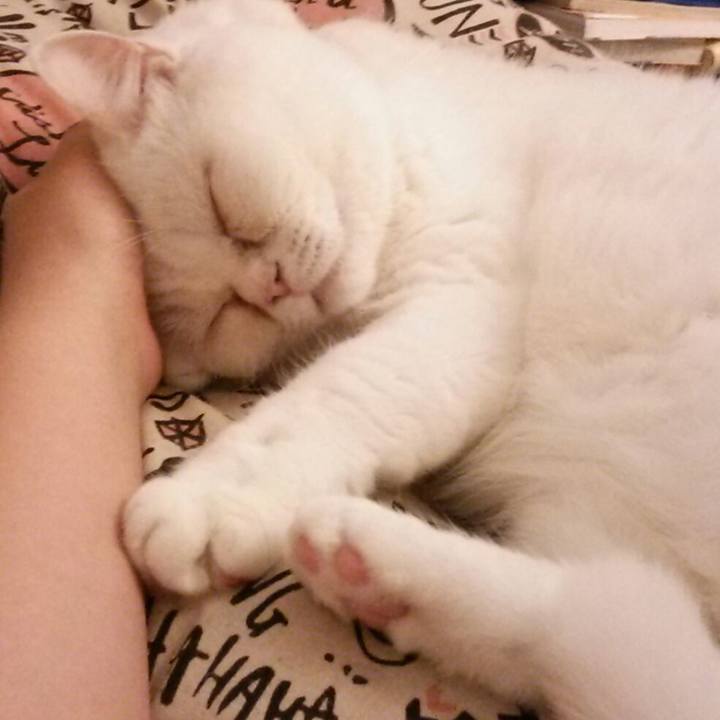 85ed36e9 72b7 4077 a368 56deb9868aeb 1510361389556