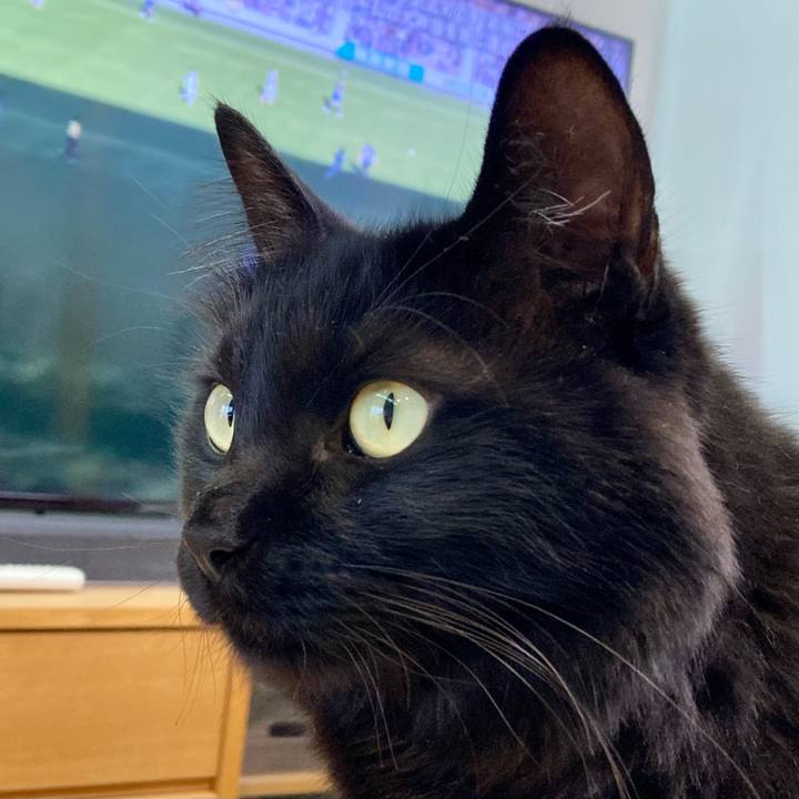 85ed405b 1d95 4360 a7d0 84c495166463 1763875761056