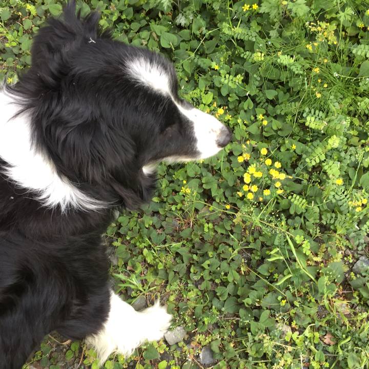 85ed6586 ef90 4c1f 8ac0 ae13aec8caf9 1588296604175