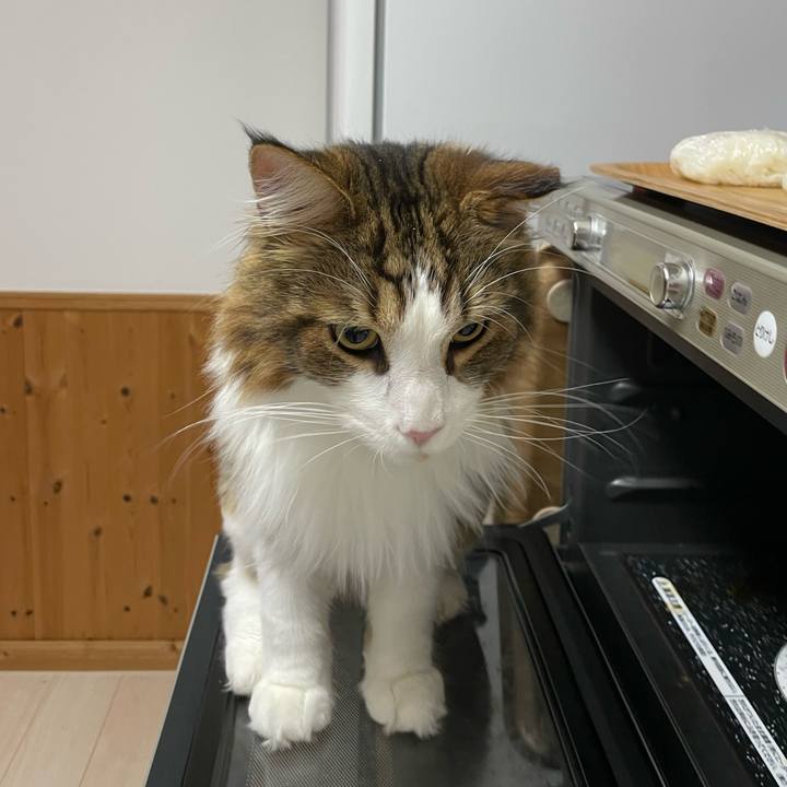 85ed788a 0969 4c8c b57d 55e9116d704c 1662495545042