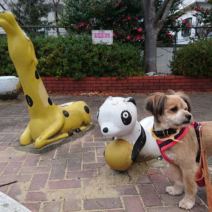 85ed7b94 e57b 46d7 9291 32c6fb706018 1515658836974