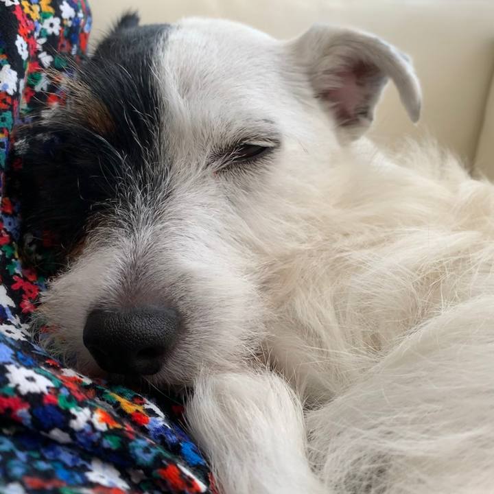 85ede2a7 5079 430f a063 a5e66439e3d4 1564642630231