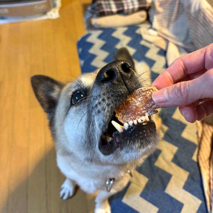 85ede5f9 ccae 44b8 8f20 b14efd11450c 1746103197377