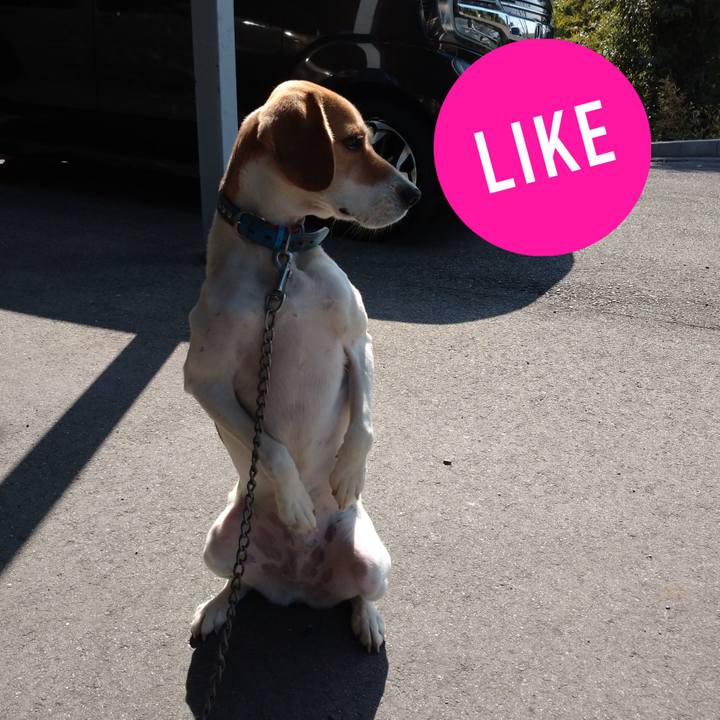 85ee043b ee93 48e7 aee4 ea9df8cf53f4 1603686450186