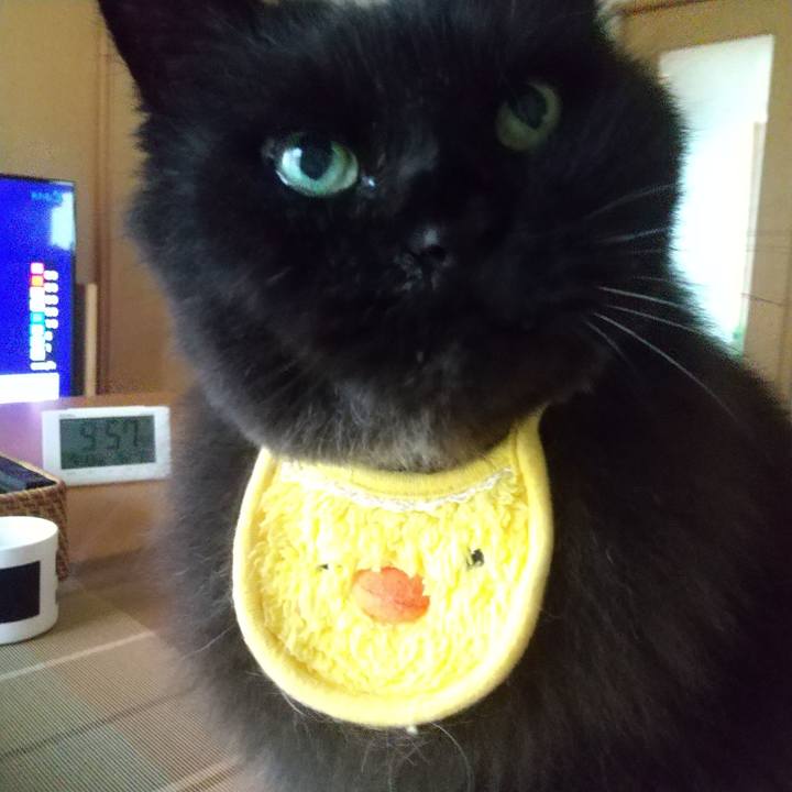 85ee091a 94a5 4e40 8ead ceb0a6522deb 1657673981454