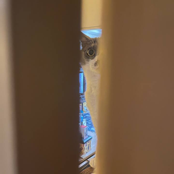 85ee25da 6eaf 4d15 85f2 5e04f2a52599 1745878844761