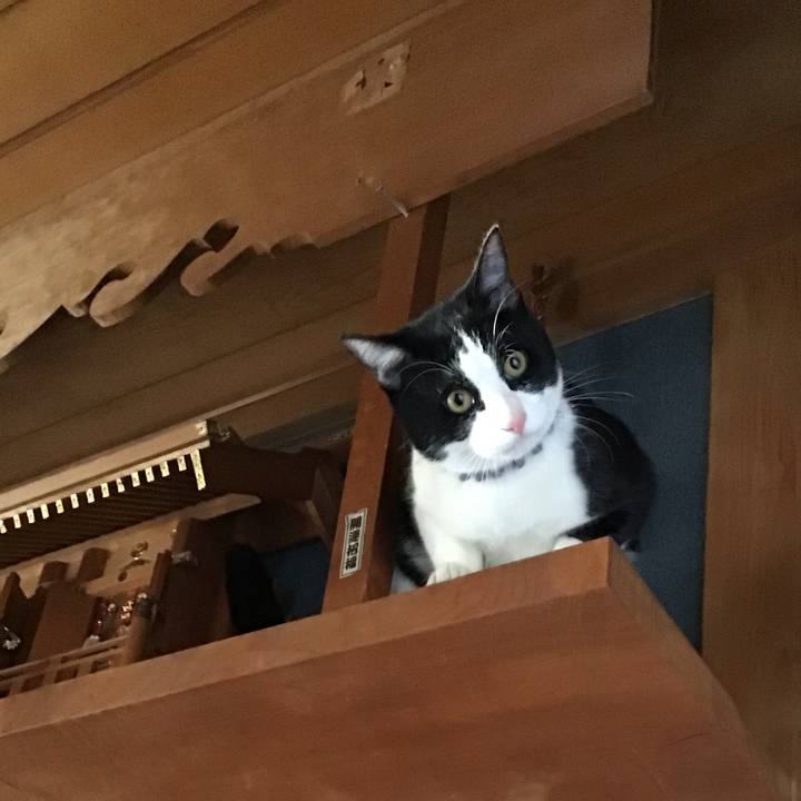 85ee35fa 854c 4d46 9a05 924c273befdc 1643354279477