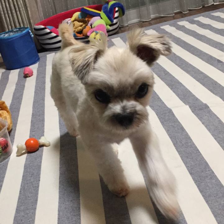 85ee3966 89a0 4cab 95fc d02588175b18 1540724486890