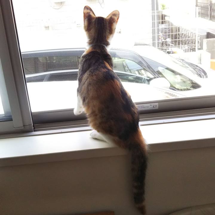 85ee5a5b 59fe 4fbf adeb a57448b461fa 1629245640667