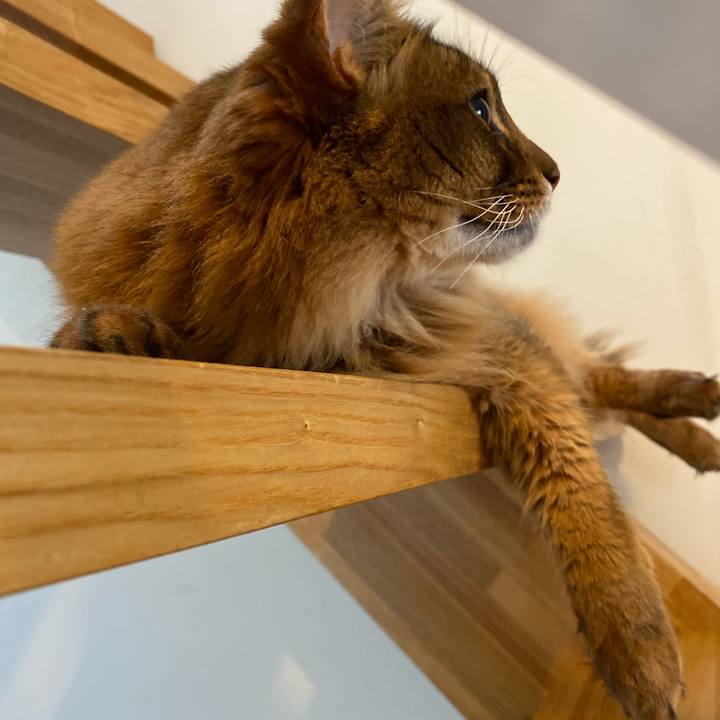 85ee8d87 0779 4aac 9d1b 3ebae4190fa0 1657268119116