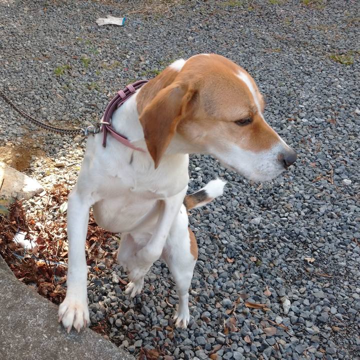 85eed62e 77ae 49b0 8774 132b51849f88 1579331271930