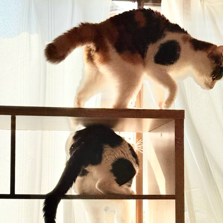 85eef4e1 ceb0 4742 8b87 e86c35384992 1742176351328