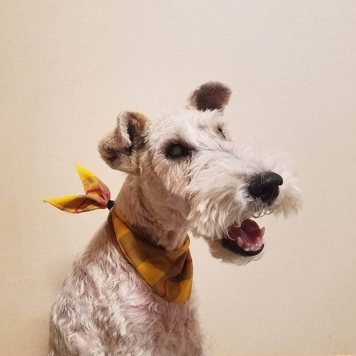 85ef05b5 3154 46f6 a2d1 c2c84a81c2da 1602767286309