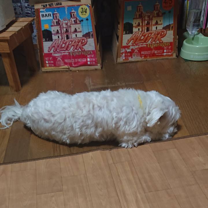 85ef1209 00b7 40ce a87c 8ad800cf9761 1615549041978