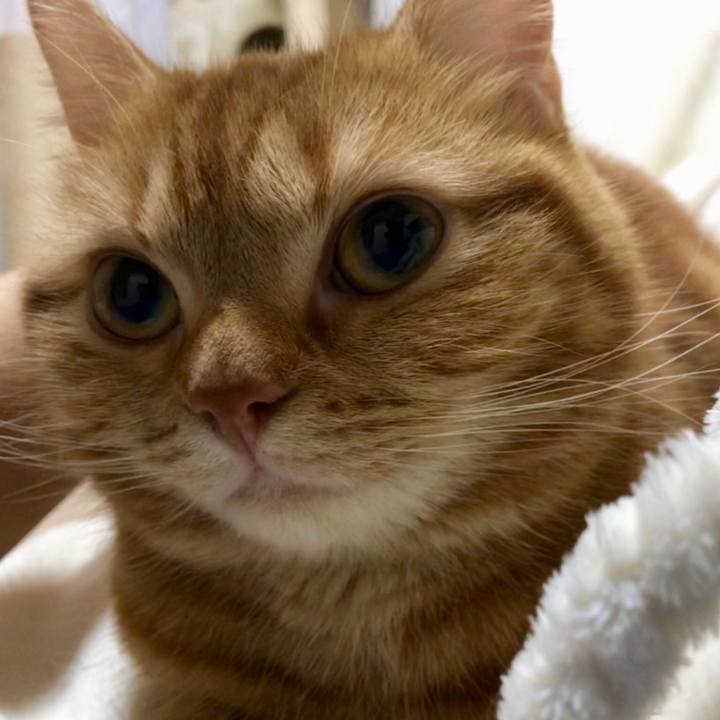 85ef2e92 9642 4ca1 a9df 28fce66aa984 1518906589823