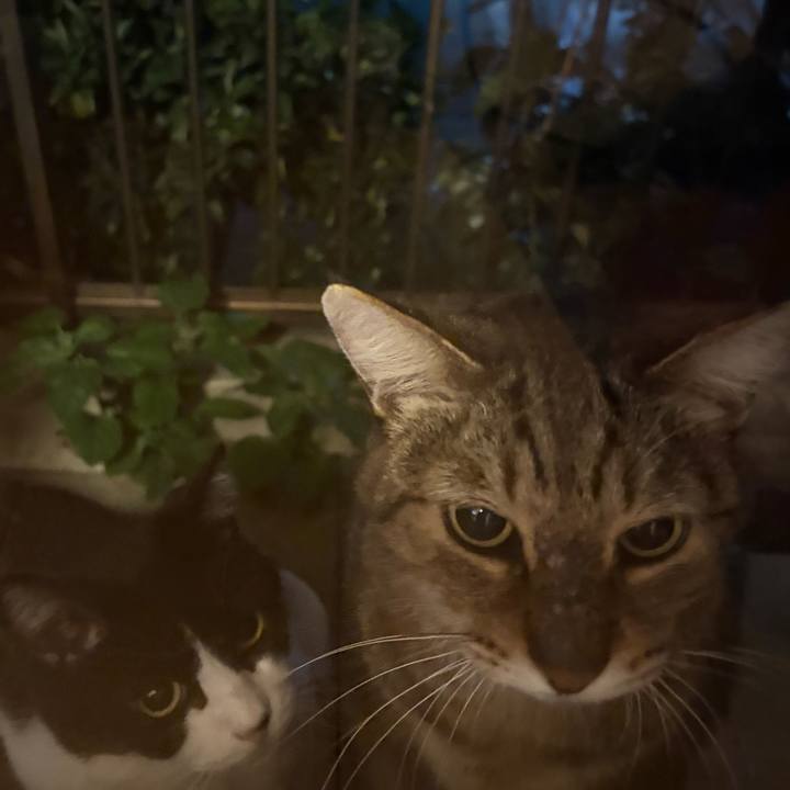 85ef573b 9dcc 4f21 bcf9 66e13c49cde4 1761653757818