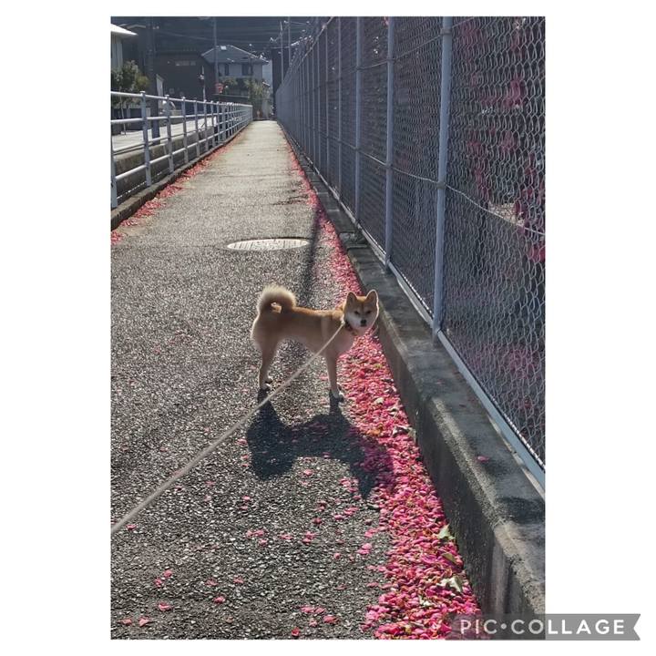 85ef5b80 1d4f 47b0 96cb 7ccc59d4bc77 1706320421056