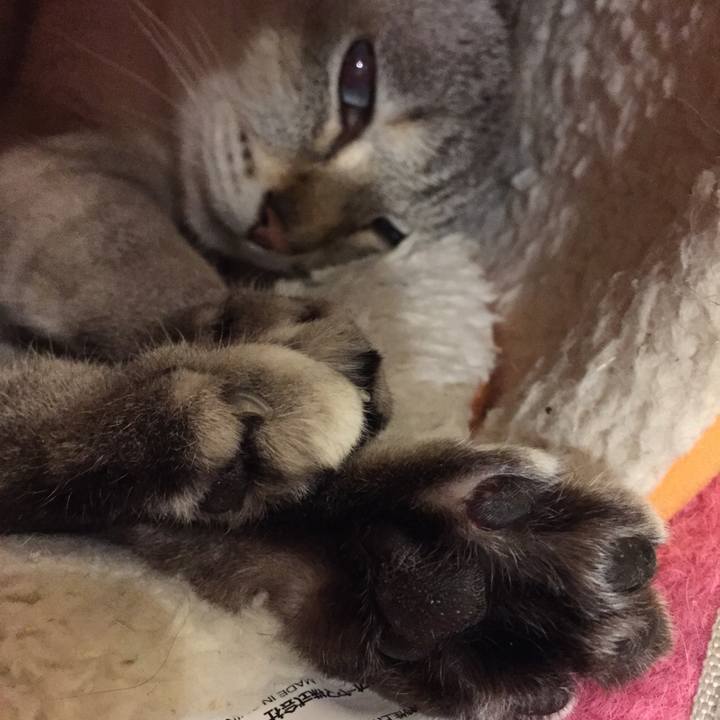 85ef7478 6ace 4d83 a21c b2ed0b93123e 1518349978456