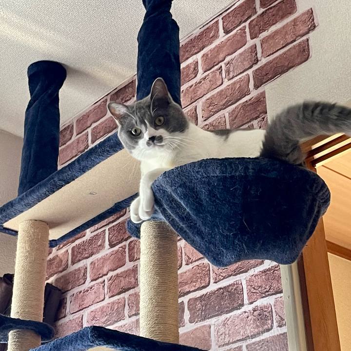 85ef7951 fc4a 489a b0e9 7dd732235afd 1662246765352