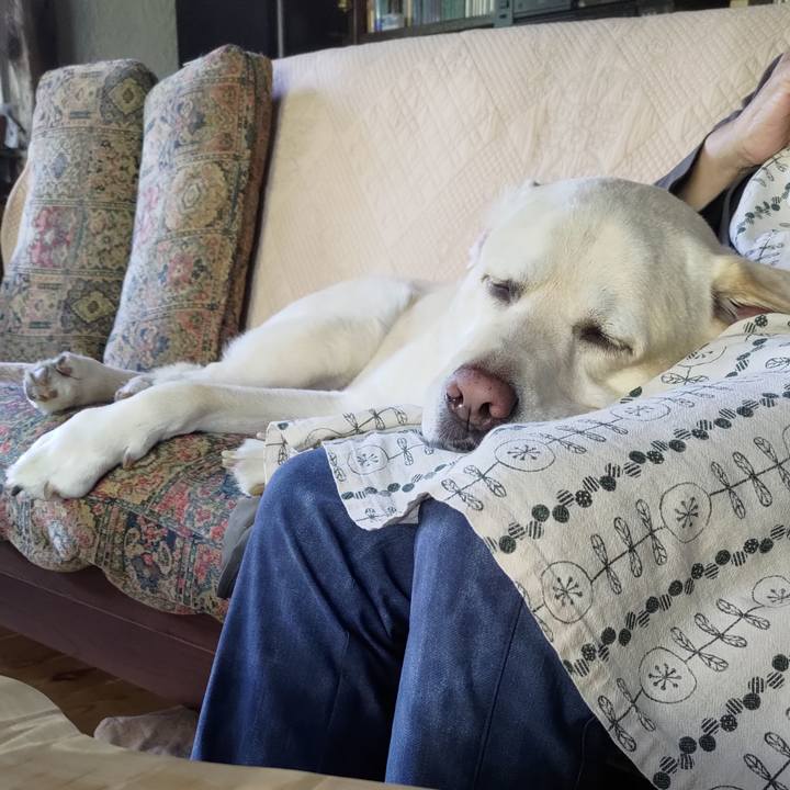 85ef7d65 3d0e 4cf2 ab45 5dd4eeeeba43 1691652116403