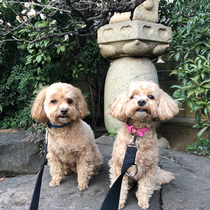 85ef7e63 4bcd 4bfe b997 4bdd4746806f 1677979115458