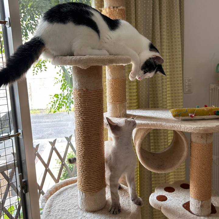 85ef80dd 1e5f 43b8 b485 92f3c2118525 1722585093322