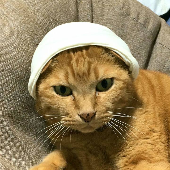 85ef8667 ae4f 4bad 88d3 c28260d5513f 1718499891340