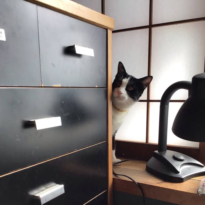 85ef8743 6e1b 4bbc aed8 2c90979b8792 1648004256350