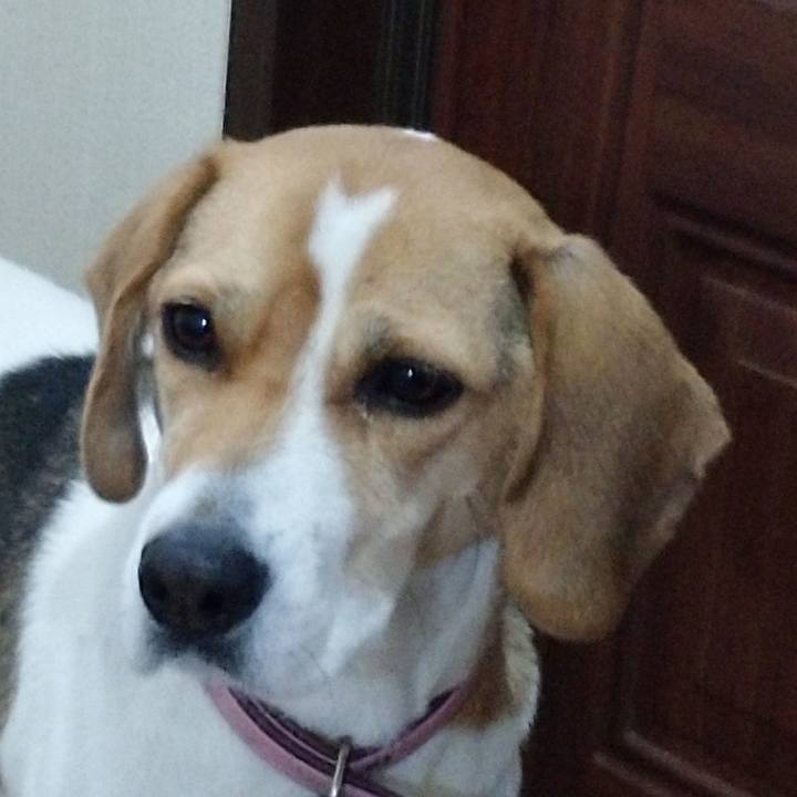 85ef9dff 5a38 42d1 8c52 ca8de174afbf 1576746929114