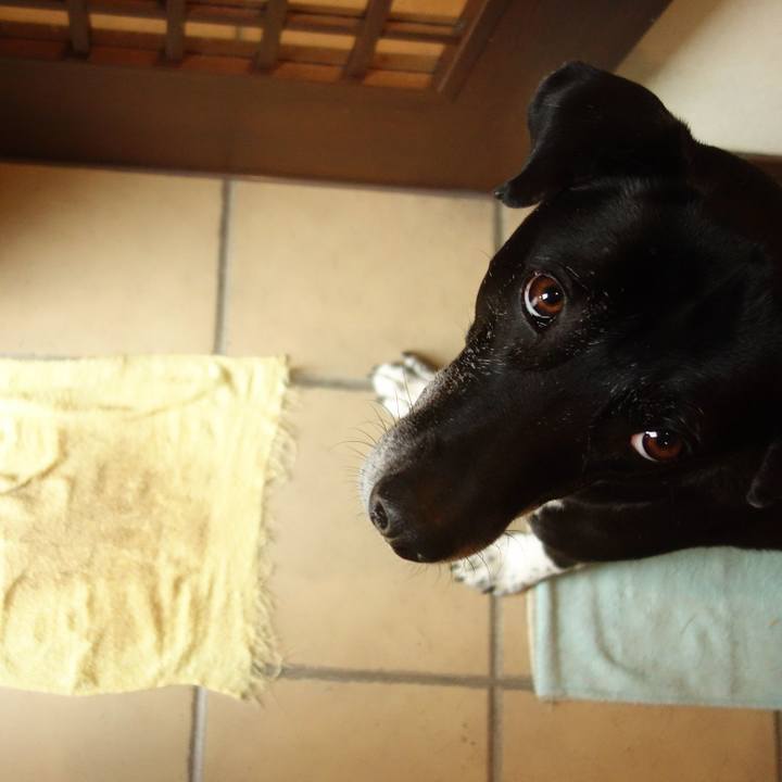 85efdecf a102 4025 afda 3d6c826ec9b4 1705625633213