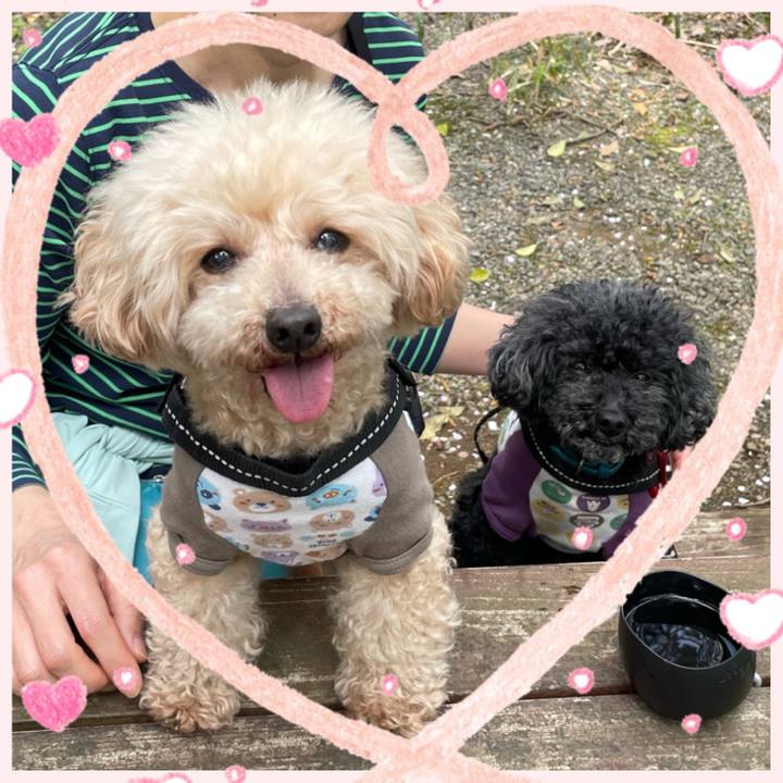 85f0098d 1256 4e9f 9718 4547242f438c 1680511298400