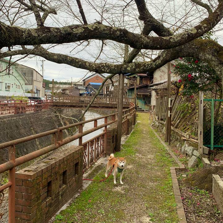 85f02d9c 18c0 4159 b130 33104f97244c 1670229775979