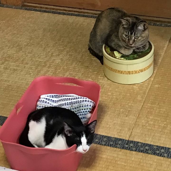 85f06f62 cf9d 4aa8 b2b0 b051e51c8c4a 1628325789432