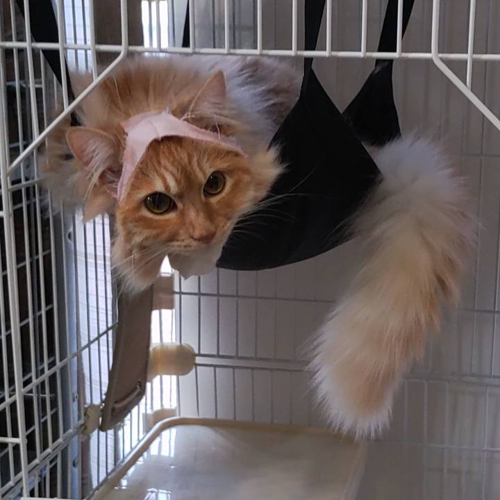 85f0f4a3 5a6b 4b2e 9792 b1ec3d3ccf48 1682892773355