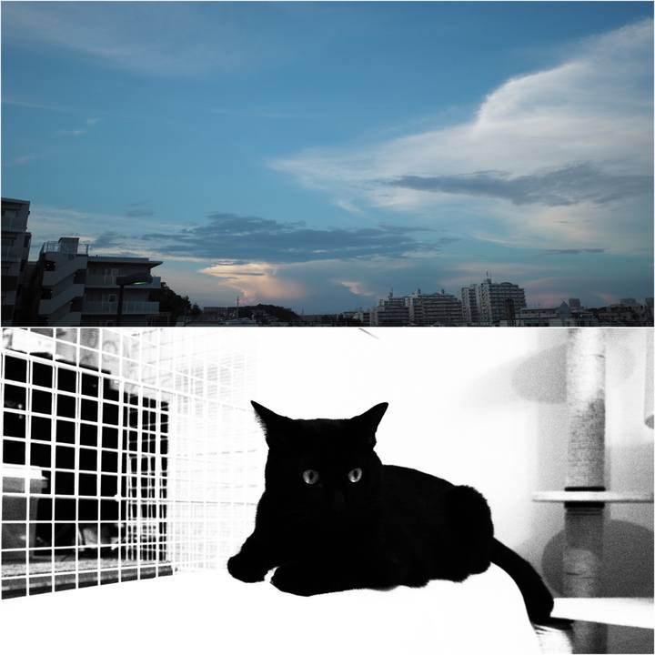 85f1163c 0fed 4de7 9bd3 8635b5b50e61 1534258597347