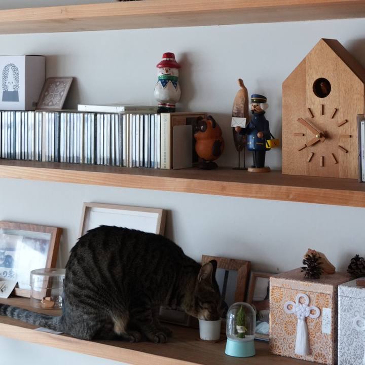 85f12abd f7a9 44f3 bf1e 00587bca6970 1736729570201