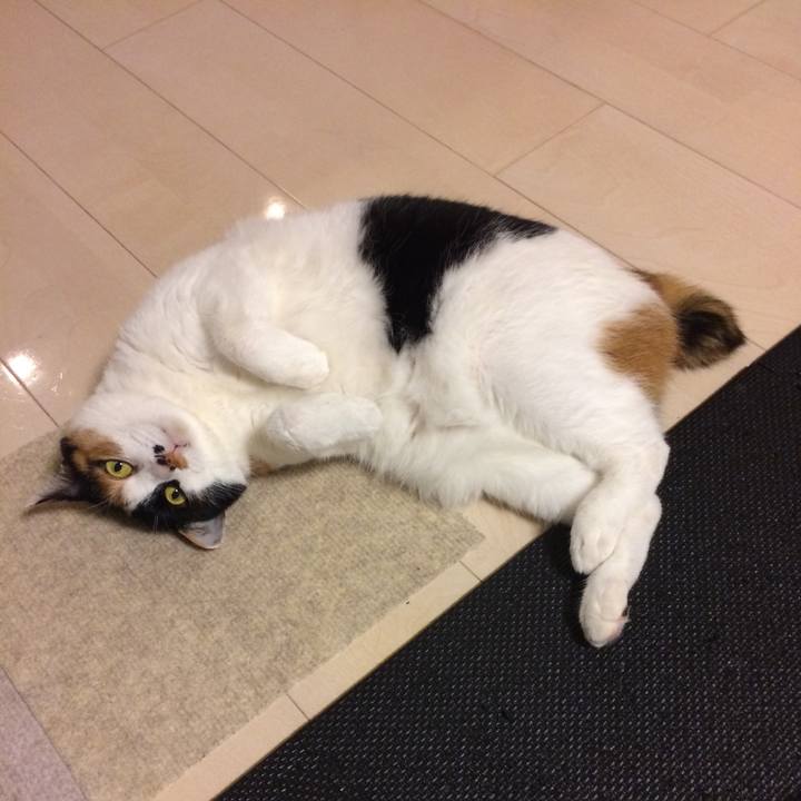 85f17a68 7057 4a42 a7fe 44005ac66466 1594125854959