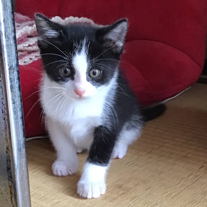 85f1848e ebc4 4ee6 ba41 324ba4435214 1623900534764