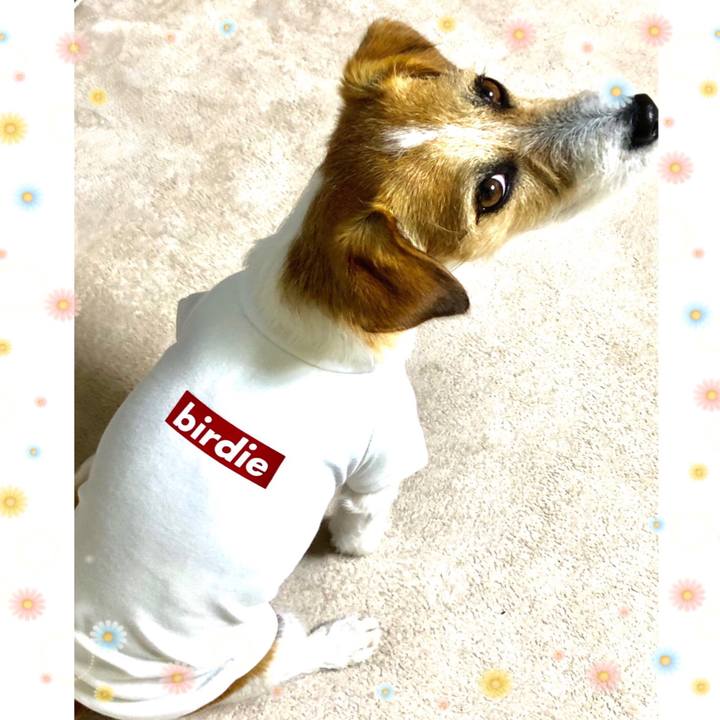 85f1a702 e052 4e70 9dcc b8a72419e857 1562994461908