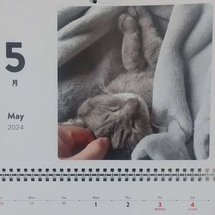 85f1d2b5 2b2c 48c4 bc84 9c9cd5f6a759 1714507482835