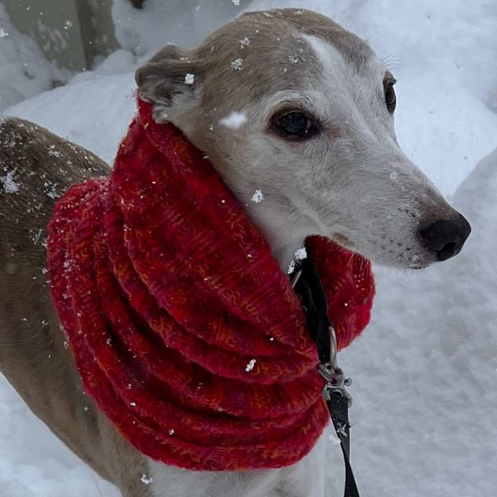 85f1e541 36f6 4dd6 8957 e55d82ad3cb0 1767253552100