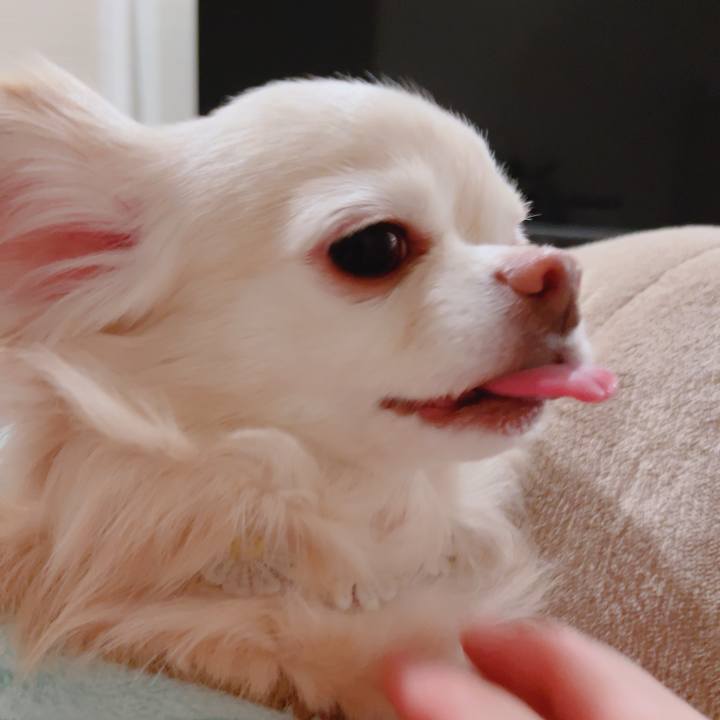 85f209b9 ae6e 4c0f a8a4 bc835c4612e6 1767448767355