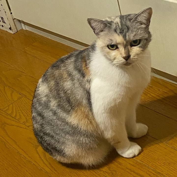 85f21678 1d56 45f1 bd4b 98e65944c40f 1631793457265