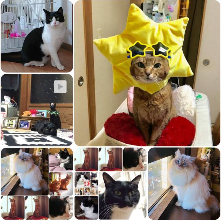 85f24d2a 7624 4980 9018 fcafe4d96b10 1555404085361